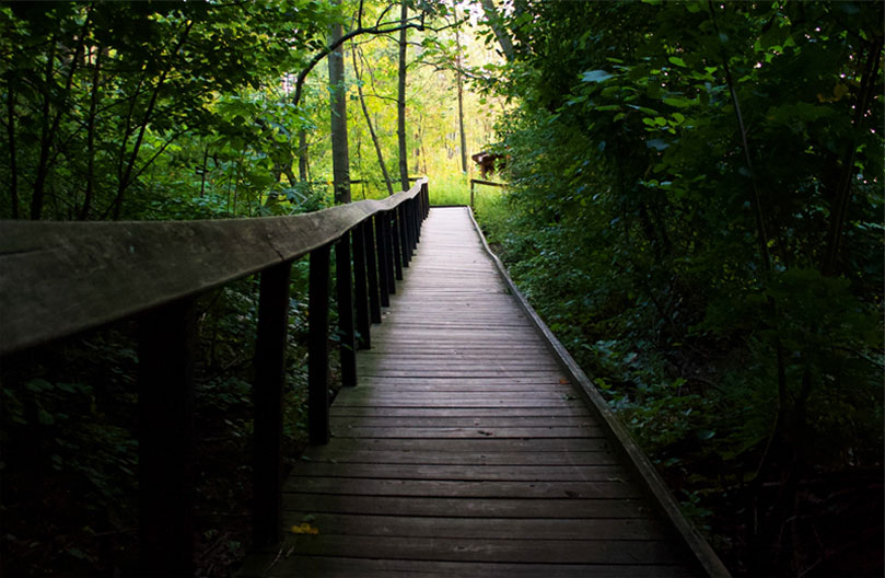 Asbury Woods Nature Center