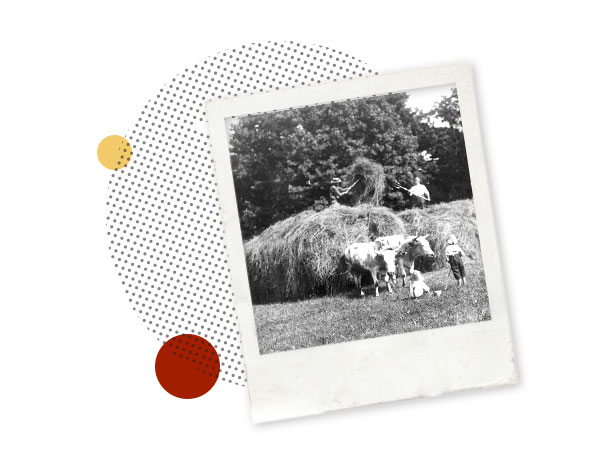 Honoring the Past, Celebrating the Present